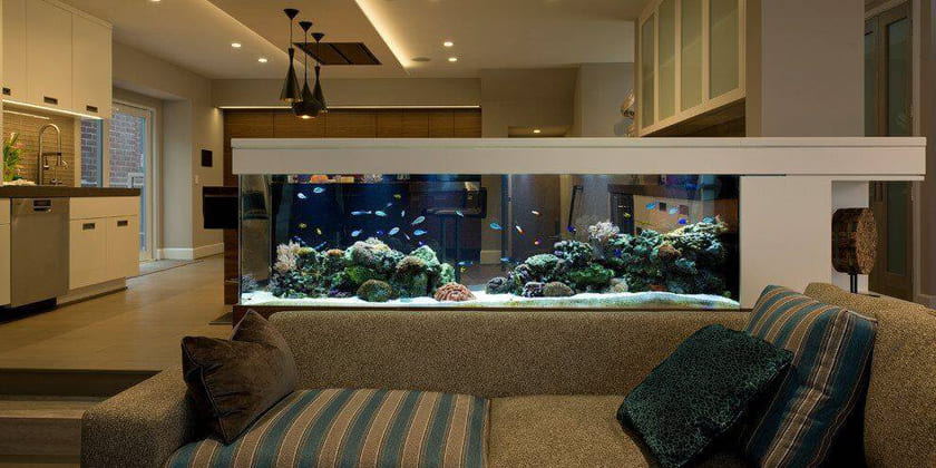 Hồ cá trong nhà